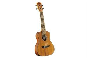 UKULELE SOPRANO MOGANO EKO SERIE DUO